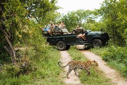 Kruger Safari with Eswatini (Contiki)