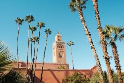 Best of Morocco (Contiki)