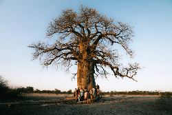 Tanzania Adventure (Contiki)