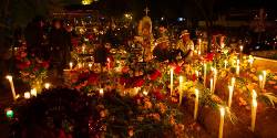 Journeys: Mexico's Day of the Dead in Oaxaca (G Adventures)