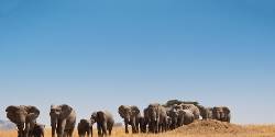 Journeys: Kenya & Tanzania Safari (G Adventures)