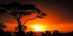 Nairobi to Zanzibar: Serengeti & Sunsets (G Adventures)
