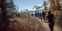 Journeys: Discover the Canadian Rockies - Westbound (G Adventures)
