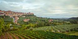 Tuscany to Cinque Terre: Wines, Villages & Unforgettable Walks (G Adventures)