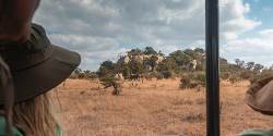 Southern Africa: National Parks of Zimbabwe & Kruger Wildlife Tracking (G Adventures)