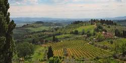 Italy: Tuscany and Umbria Vineyard Walks (G Adventures)