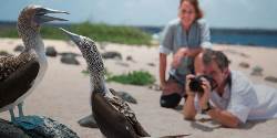 The Galápagos: Wildlife of Santa Cruz & Isabela Islands (G Adventures)