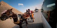 Middle East Dream Escape: Iconic Petra & The Great Pyramids (G Adventures)