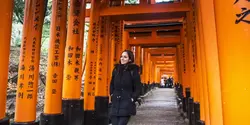 Epic Japan: Speed Trains & Street Food (G Adventures)
