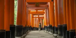 Japan: Kyoto, Tokyo & the Michinoku Coastal Trail (G Adventures)