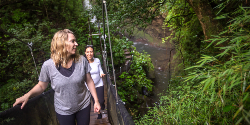 Picture:Costa Rica: The Wonders & Wildlife of the North