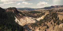 Yellowstone Camping Explorer (G Adventures)