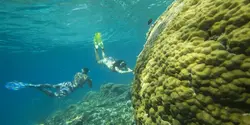 Lombok to Flores: The Hidden Path (G Adventures)
