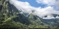 Solo-ish New Zealand (G Adventures)