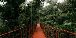 Signature: Costa Rica's Tortuguero, Arenal & Cloud Forests (G Adventures)