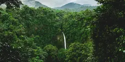Signature: Costa Rica's Monteverde, Arenal & Guanacaste (G Adventures)