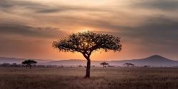 Signature: Tanzania’s Serengeti, Tarangire & Ngorongoro Crater (G Adventures)