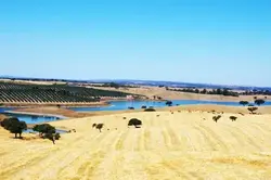 Algarve, Alentejo en Lissabon (De Jong Intra)