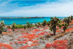 Picture:Galapagos at a Glance: Southern Islands (Grand Daphne)