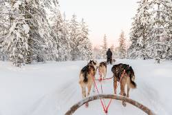 Finnish Lapland in Winter (Intrepid)