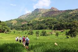 Sri Lanka: Hike, Bike & Kayak (Intrepid)
