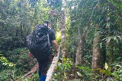 Borneo Expedition: Maliau Basin - Sabah's Lost World Trek (Intrepid)