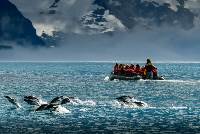 Journey to the Antarctic Circle (Intrepid)