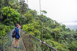 Amazing Central America (Intrepid)