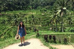 Best of Indonesia (Intrepid)
