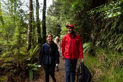 Walk Tasmania's Tarkine & Cradle Mountain (Intrepid)