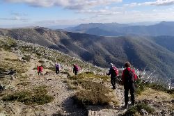 Walk Victoria's High Country (Intrepid)