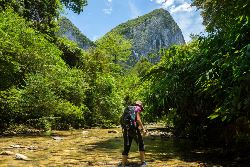 Wild Sarawak (Intrepid)