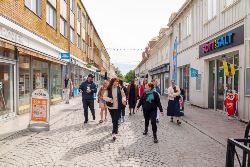 A Taste of Scandinavia (Intrepid)