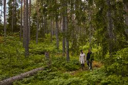 Classic Scandinavia (Intrepid)