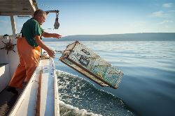 Best of the Canadian Maritimes (Intrepid)