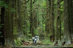 Japan: Koya-san & Kumano Kodo Trek (Intrepid)