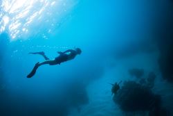 Mainland Ecuador and Galapagos Cruise (Intrepid)