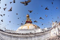 Highlights of India & Nepal (Intrepid)