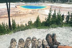 Hiking and Camping in Yellowstone (Intrepid)