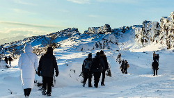 Iceland (Winter): Geysers & Glaciers (Topdeck)