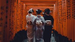 Japan: Sushi & Shrines (Topdeck)