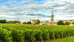 Brilliant Bordeaux (2025) - Bordeaux to Bordeaux (Uniworld)