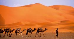 Imperial Cities & Deserts (On The Go Tours)