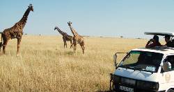 East Africa Explorer (On The Go Tours)
