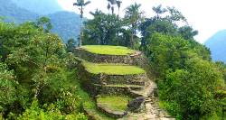 Lost City of Colombia (On The Go)