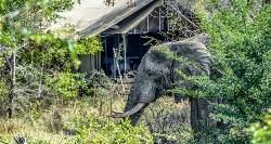 Cape Town & Kruger (On The Go Tours)