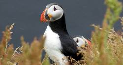 Iceland Self Drive Express (On The Go)