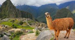 Highlights of Peru (On The Go Tours)