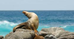 Peru & Galapagos Discovery (On The Go Tours)