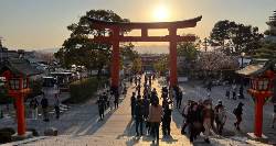 Seoul to Kyoto Adventure (On The Go)